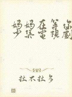 妈妈在等你有多少集电视剧