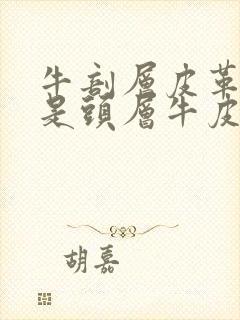 牛剖层皮革好还是头层牛皮好