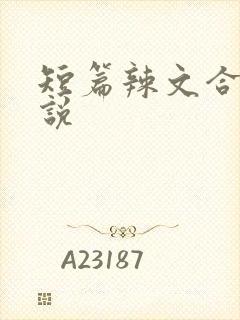 短篇辣文合集小说