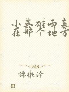 小英雄雨来发生在哪个地方