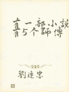 有一部小说主角有5个师傅封面
