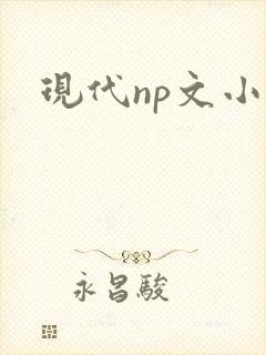 现代np文小说