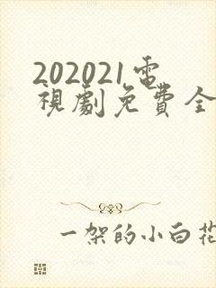 202021电视剧免费全集在线观看