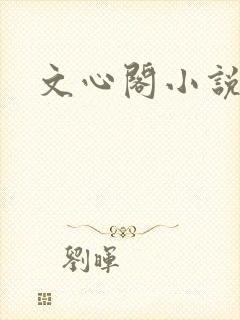 文心阁小说