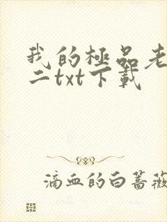 我的极品老婆小二txt下载