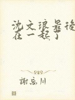 沈文琅最后和谁在一起了