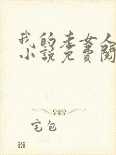 我的老女人王芳小说免费阅读陆明