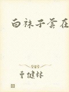 白袜子套在几上