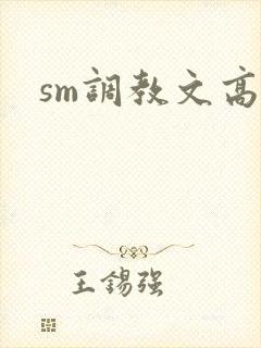 sm调教文高h