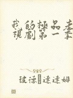 我的极品老婆电视剧第一季在线播放