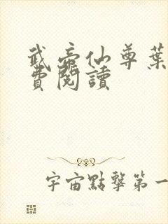 武帝仙尊叶辰免费阅读