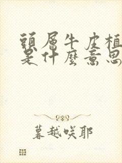 头层牛皮植鞣皮是什么意思