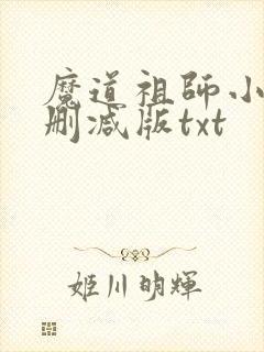 魔道祖师小说无删减版txt封面