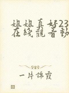 姐姐真好23集在线观看动漫