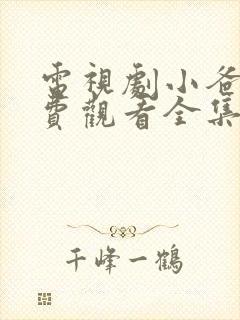 电视剧小爸爸免费观看全集国语版封面