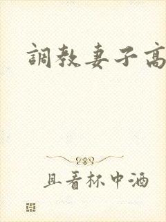 调教妻子高h封面