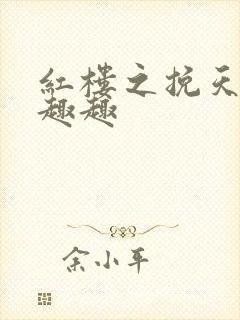 红楼之挽天倾笔趣趣