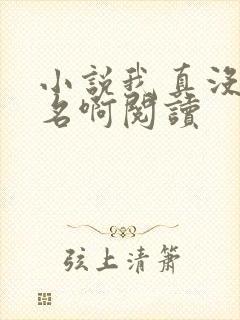 小说我真没想出名啊阅读封面