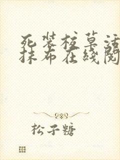 死装校草活该被抹布在线阅读