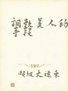 调教美人的百种手段