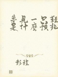 梦见一只鞋坏了是什么预兆封面