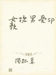 女攻男受sp调教