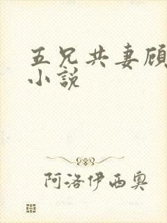 五兄共妻顾心儿小说