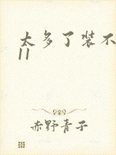 太多了装不下H11封面