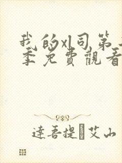 我的xl司第二季免费观看全集动漫