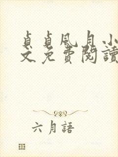 贞贞风月小说全文免费阅读最新章节