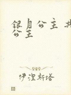 银月公主 共享公主