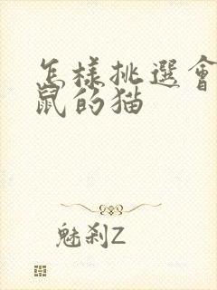 怎样挑选会抓老鼠的猫