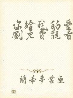 你给我的爱电视剧免费观看全集高清封面