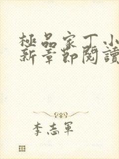 极品家丁小说最新章节阅读封面