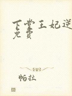 下堂王妃逆袭记免费