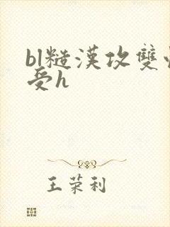 bl糙汉攻双性受h