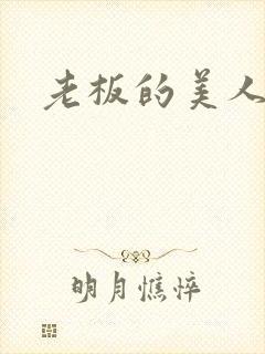 老板的美人调教