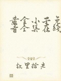 黄金小子免费观看全集在线高清