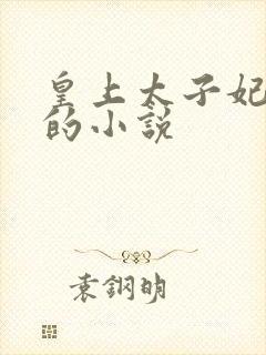 皇上太子妃沈音的小说封面