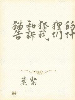 猫和狐狸的故事告诉我们什么道理