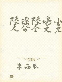 陆瑶陆鸣小说主人公全文免费阅读笔趣阁