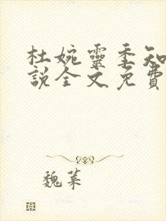 杜婉灵季知景小说全文免费阅读