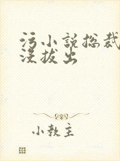 污小说总裁整夜没拔出