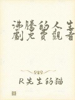 沸腾的人生电视剧免费观看全集高清封面