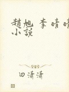 赵旭 李晴晴 小说封面