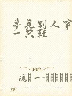 梦见别人穿走我一只鞋