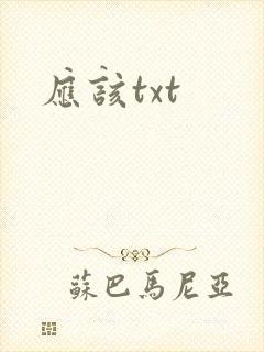 应该txt