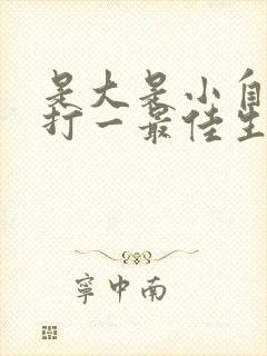 是大是小自己猜打一最佳生肖