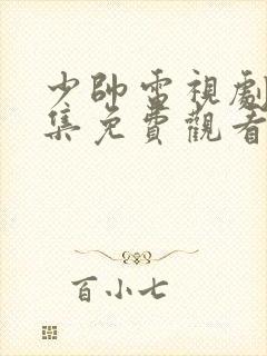 少帅电视剧48集免费观看高清封面