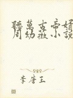 听万古帝婿夜玄周幼薇小说封面